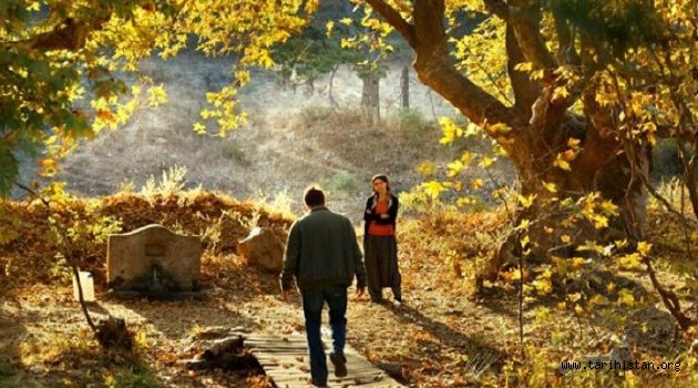Türkiye'nin Oscar adayı Ahlat Ağacı